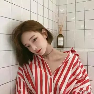 酱狗